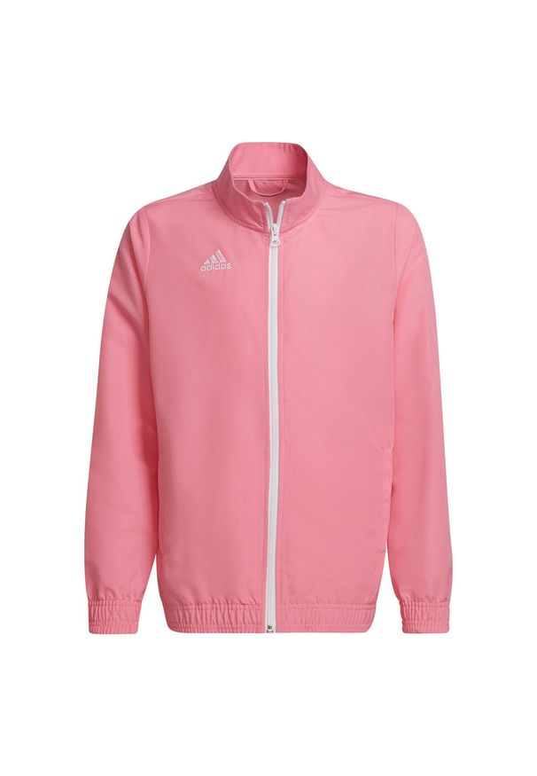 Adidas - Dziecięca bluza dresowa adidas Entrada 22. Kolor: różowy. Materiał: dresówka. Sport: piłka nożna
