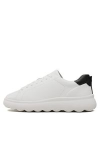 Geox Sneakersy U Spherica Ec4.1 U36FUA 00085 C1000 Biały. Kolor: biały #6