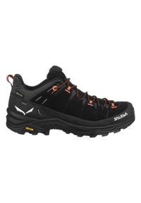 Buty trekkingowe damskie Salewa Alp Trainer 2 Gtx. Kolor: czarny. Materiał: materiał. Szerokość cholewki: normalna