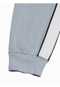 Ombre Clothing - Spodnie męskie dresowe joggery P947 - szare - XXL. Okazja: na co dzień. Kolor: szary. Materiał: dresówka. Styl: casual
