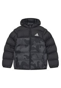 Adidas - adidas Kurtka zimowa JL7399 Czarny Regular Fit. Kolor: czarny. Materiał: syntetyk. Sezon: zima