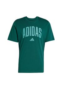Adidas - Koszulka Collegiate Lineage Graphic. Kolor: zielony. Materiał: bawełna