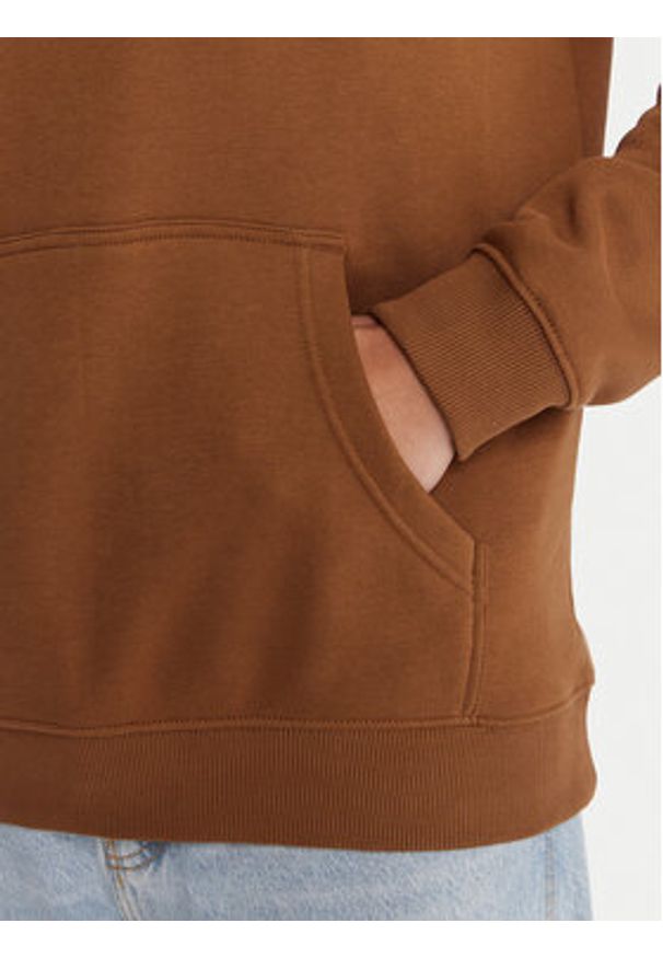 DC Shoes Bluza Star EDYSF03261 Miedziany Regular Fit. Kolor: brązowy. Materiał: syntetyk