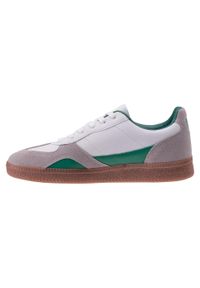 Iguana - Męskie Buty Treningowe Lecarde. Kolor: zielony, biały, wielokolorowy. Sport: turystyka piesza