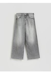 Reserved - Jeansy baggy fit - jasnoszary. Kolor: szary
