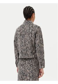 JOOP! Kurtka jeansowa 10019074 30044956 Brązowy Regular Fit. Kolor: brązowy. Materiał: bawełna