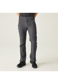 Regatta - Męskie górskie spodnie trekkingowe zip off. Kolor: szary, wielokolorowy, brązowy. Materiał: materiał, tkanina. Sezon: lato. Sport: turystyka piesza #1
