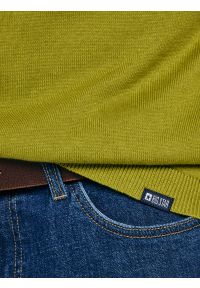 Big-Star - Sweter męski bawełniany zielony Simoner 301. Okazja: na co dzień. Kolor: zielony. Materiał: bawełna. Długość rękawa: długi rękaw. Długość: długie. Wzór: gładki, aplikacja, ze splotem. Styl: casual, klasyczny #6