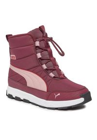 Puma Śniegowce Evolve Boot Jr 392644 04 Bordowy. Kolor: czerwony