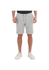 FUNDANGO - Spodenki fitness męskie Fundango Delon Sweatshort. Kolor: szary. Materiał: poliester, bawełna. Wzór: haft. Sport: fitness