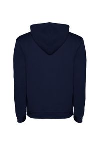 ROLY - Bluza Dziecięca/dziecięca Urban Hoodie. Kolor: niebieski