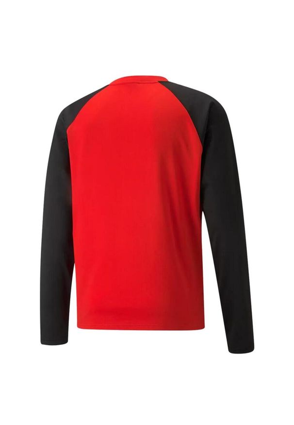 Bluza Puma Teamliga. Kolor: czerwony, czarny, wielokolorowy. Sport: fitness