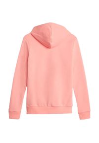 Bluza damska Puma ESS+ Embroidery Hoodie FL. Kolor: różowy