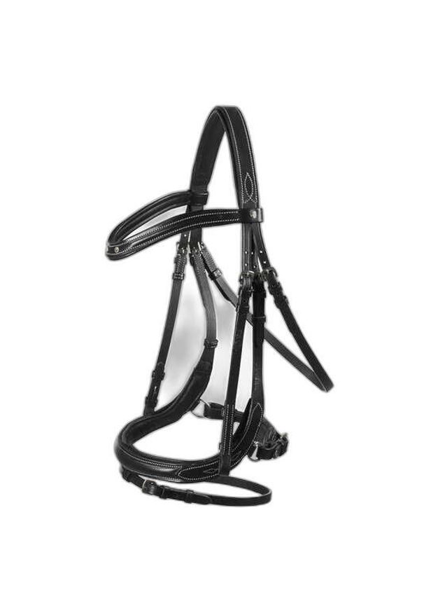 ERIMA - Anatomiczne uzdy dla koni Horze Rome. Kolor: czarny. Sport: piłka ręczna
