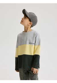 Reserved - Strukturalny longsleeve - jasnoszary. Kolor: szary. Materiał: bawełna, dzianina. Długość rękawa: długi rękaw #1