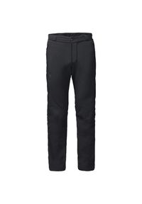 Spodnie turystyczne męskie Jack Wolfskin Activate Thermic. Kolor: czarny. Materiał: poliamid. Sport: turystyka piesza