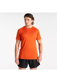 DARE 2B - Męska koszulka trekkingowa Accelerate. Kolor: pomarańczowy. Materiał: tkanina. Wzór: nadruk. Sport: turystyka piesza #1
