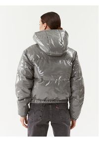 Ellesse Kurtka zimowa Petulia SGQ16982 Szary Relaxed Fit. Kolor: szary. Materiał: syntetyk. Sezon: zima