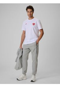 4f - 4F Spodnie kibica joggery męskie - szare XL. Kolor: szary. Materiał: materiał, dresówka, bawełna, dzianina. Wzór: gładki #1