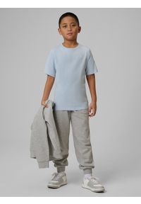 4f - 4F Spodnie dresowe joggery chłopięce - szare 140 (9-10 lat). Okazja: na co dzień. Kolor: szary. Materiał: dresówka. Sezon: lato. Styl: casual, sportowy #1
