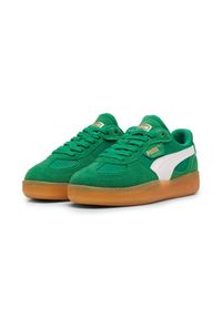 Trenerzy damscy Puma Palermo Moda Vintage. Kolor: zielony. Sezon: lato. Sport: turystyka piesza #1