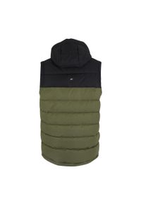 Regatta - Męski Ogrzewacz Do Ciała Aldthorn. Kolor: wielokolorowy, czarny, zielony. Styl: sportowy. Sport: turystyka piesza #2