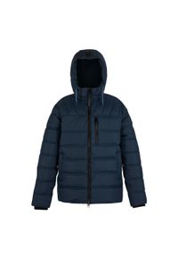 Regatta - Męska Ocieplana Kurtka Leeshaw. Kolor: niebieski, wielokolorowy, zielony. Materiał: puch. Sport: turystyka piesza #1