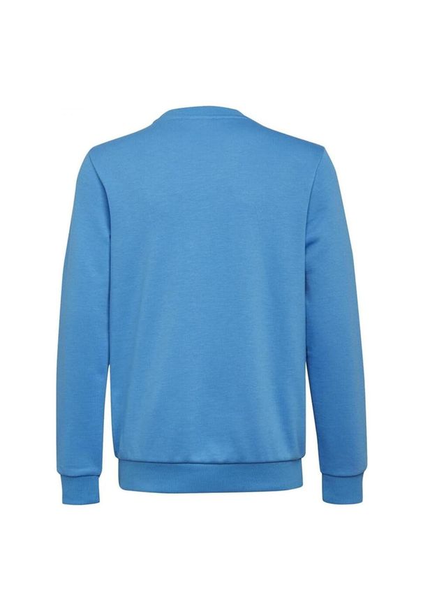 Bluza turystyczna dla dzieci Adidas Bl Swt. Kolor: niebieski. Materiał: poliester. Sport: turystyka piesza
