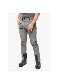 Spodnie trekkingowe męskie Helly Hansen Odin Huggin 2.0 Pant. Kolor: szary