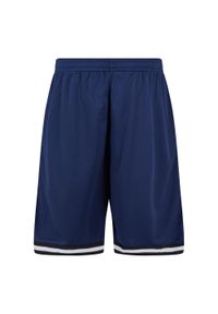 Urban Classics - Shorty Męskie Siatka Paski. Kolor: czarny, brązowy, niebieski, wielokolorowy. Wzór: paski. Sport: turystyka piesza