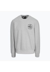 PITBULL - Bluza męska Pitbull Physical Culture Crewneck Sweatshirt. Kolor: szary