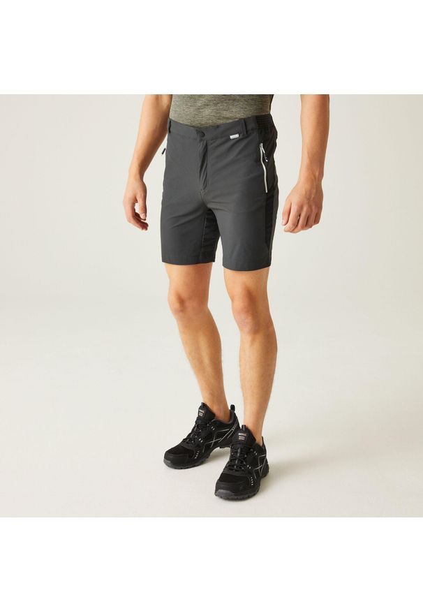 Regatta - Męskie spodenki trekkingowe Mountain II. Kolor: szary. Materiał: tkanina. Sport: turystyka piesza