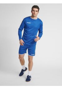 Hummel koszulka męska z długim rękawem hml Authentic Poly Jersey. Kolor: niebieski. Materiał: jersey. Długość rękawa: długi rękaw. Długość: długie
