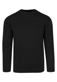Klasyczny Sweter Męski - Rigon - Bawełna - Czarny. Kolor: czarny. Materiał: bawełna. Wzór: nadruk. Styl: klasyczny #1