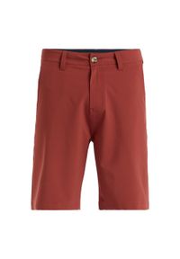 Quiksilver - Spodenki kąpielowe typu amphibian dla Mężczyzn UNION AMPH 20" Brązowy. Kolor: brązowy, wielokolorowy, beżowy. Materiał: elastan, poliester, materiał. Styl: sportowy