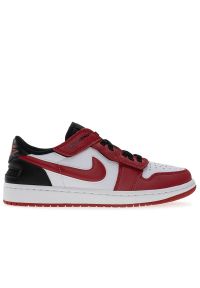 Buty męskie Air Jordan 1 Low Flyease DM1206-163 - multikolor. Kolor: wielokolorowy. Materiał: guma, skóra, materiał. Szerokość cholewki: normalna