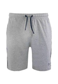 ZUN ZUN - Męskie szorty sportowe Niceto Melange - Oddychające i lekkie. Kolor: szary. Długość: krótkie. Sezon: lato #1