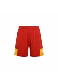 Szorty Kappa Daggo. Kolor: czerwony, wielokolorowy, żółty. Materiał: poliester, materiał. Długość: krótkie. Sport: fitness