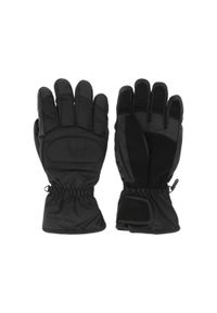 Rękawice narciarskie Whistler Slough. Kolor: czarny. Sezon: zima. Sport: narciarstwo #1