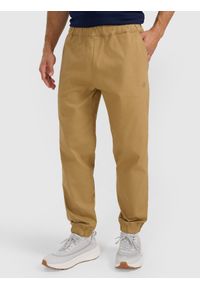 4f - 4F Spodnie dresowe joggery męskie - beżowe 3XL. Kolor: beżowy. Materiał: dresówka. Sport: turystyka piesza, fitness #2