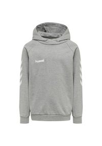 Dziecięca bluza z kapturem Hummel hmlGO cotton. Typ kołnierza: kaptur. Kolor: szary