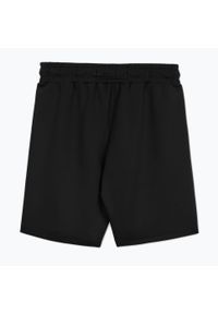 PITBULL - Spodenki męskie Pitbull Track Shorts Powers. Kolor: czarny