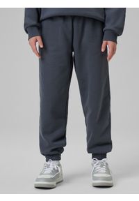 4f - 4F Spodnie dresowe joggery dziewczęce - szare 122/128 (6-8 lat). Okazja: na co dzień. Kolor: szary. Materiał: dresówka. Wzór: aplikacja. Sezon: lato. Styl: casual #2