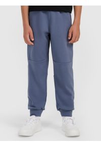 4f - 4F Spodnie dresowe joggery chłopięce - granatowe 146 (10-11 lat). Okazja: na co dzień. Kolor: niebieski. Materiał: dresówka. Sezon: lato. Styl: casual, klasyczny #2