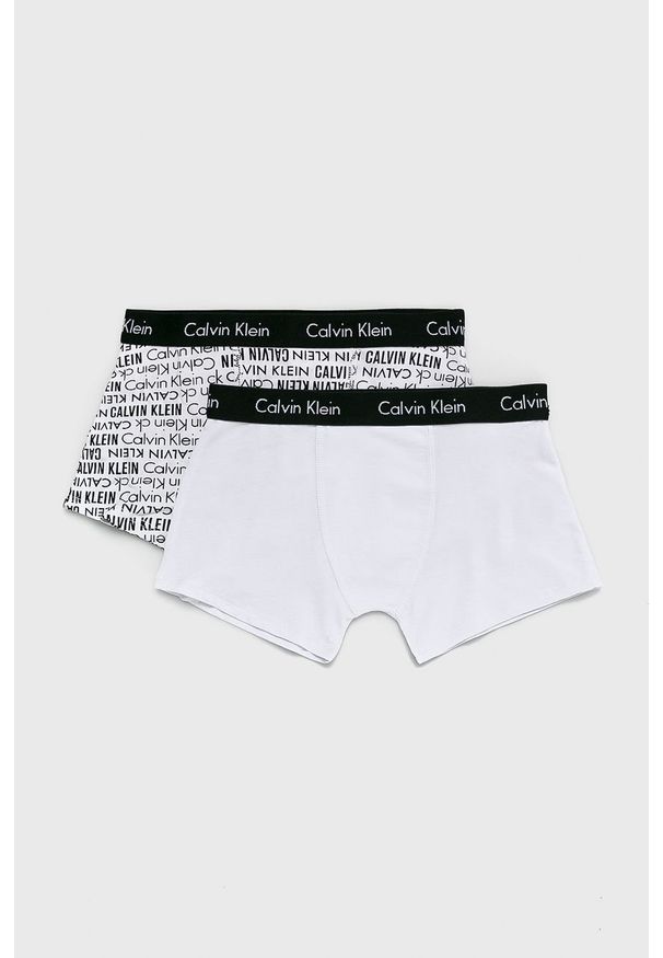 Calvin Klein Underwear - Bokserki dziecięce 104-176 cm (2-pack). Kolor: biały. Materiał: bawełna, dzianina, elastan. Wzór: gładki