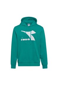 Diadora - Bluza męska DIADORA HOODIE BIG LOGO. Kolor: niebieski #1