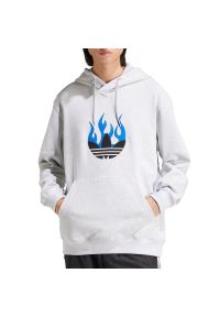 Adidas - Bluza adidas Originals Flames Logo IS2947 - szara. Typ kołnierza: kaptur. Kolor: szary. Materiał: bawełna. Wzór: aplikacja. Styl: klasyczny, sportowy #1