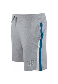 ZFOAM - Męskie krótkie spodenki bawełniane ATH‑DPT Iorio — asfaltowy szary. Kolor: niebieski, wielokolorowy, biały, szary, fioletowy. Materiał: bawełna. Długość: krótkie. Sezon: lato #1