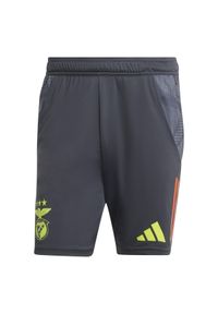 Adidas - Spodenki treningowe Benfica Lisbonne Tiro 2024/25. Kolor: szary. Materiał: materiał. Sport: piłka nożna #1