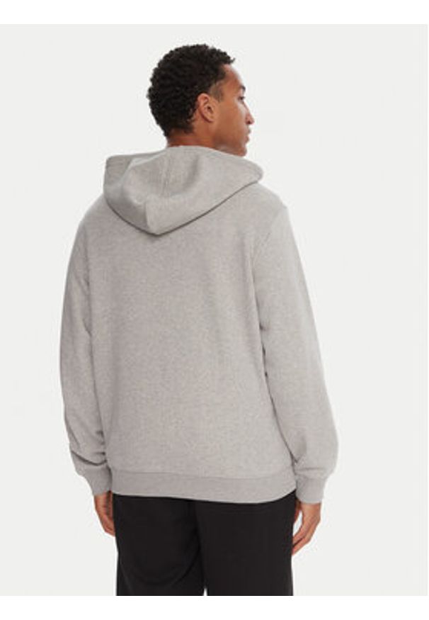 DC Shoes Bluza Star EDYSF03265 Szary Regular Fit. Kolor: szary. Materiał: bawełna